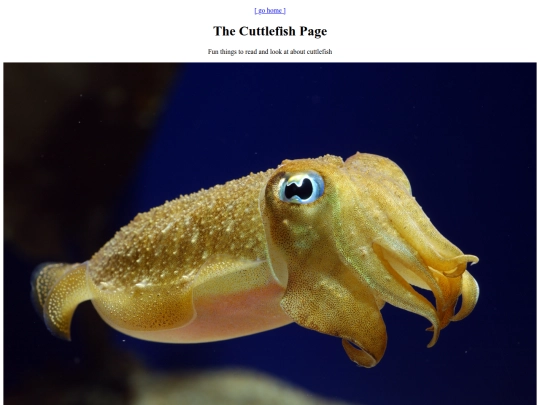 cuttle screenshot