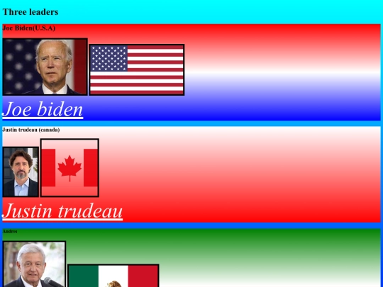 project screenshot