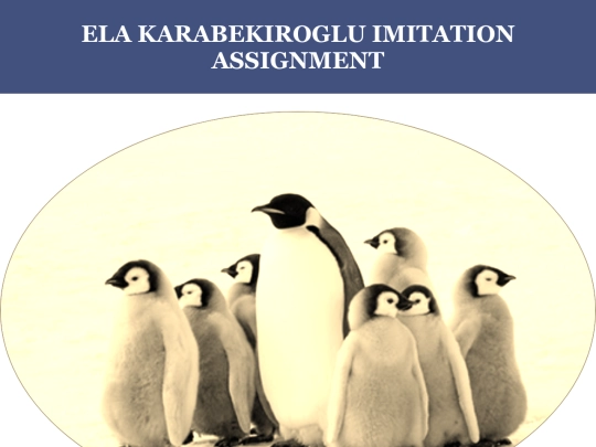 Ela Karabekiroglu Imitation Assignment screenshot