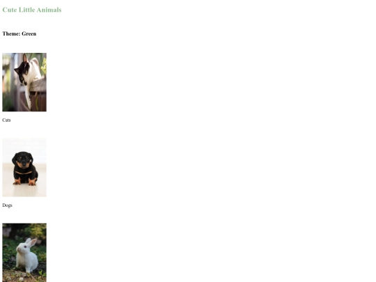 Ela Karabekiroglu Starter Gallery Assignment screenshot