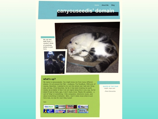 canyouseedis_neocities/Home screenshot