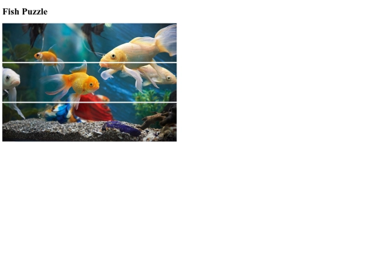 fishpuzzle screenshot