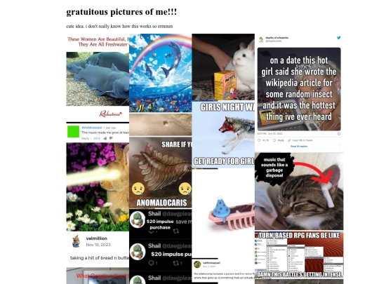 webmaster/gpoy screenshot
