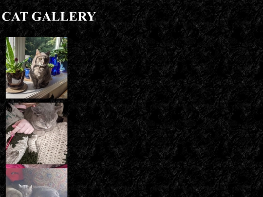 catgallery/catgallery screenshot