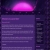 The web site of cajn avatar