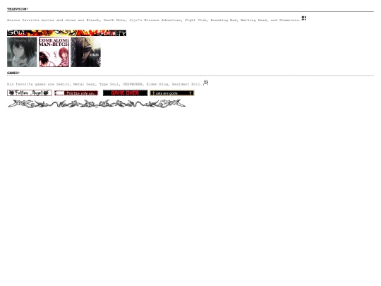 aaronsintrest screenshot