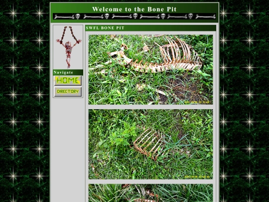 bonepit screenshot