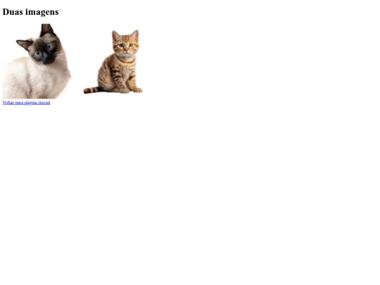 atividade06/paginas/sobre screenshot