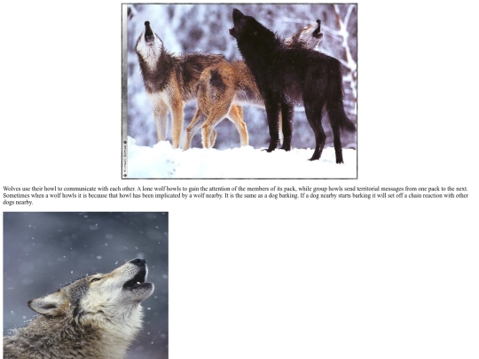 WolfProject/Communication screenshot