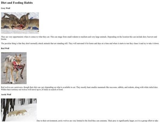 WolfProject/Diet screenshot