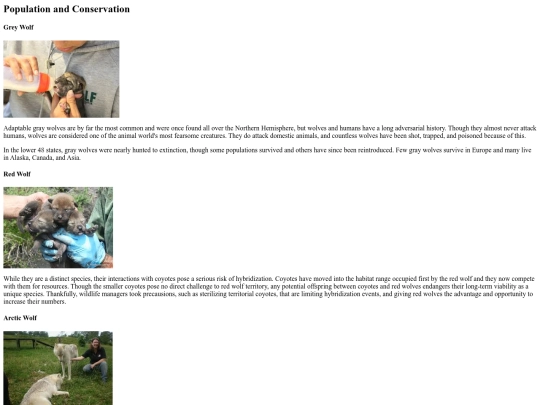 WolfProject/PopulationandConservation screenshot