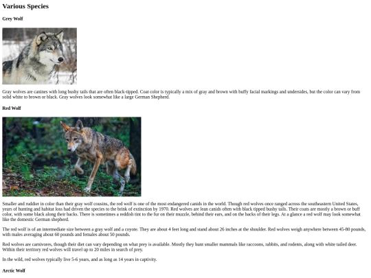 WolfProject/VariousSpecies screenshot