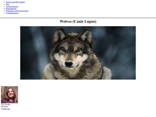 WolfProject/Wolves screenshot