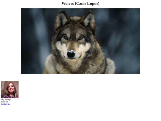 WolfProject/info screenshot