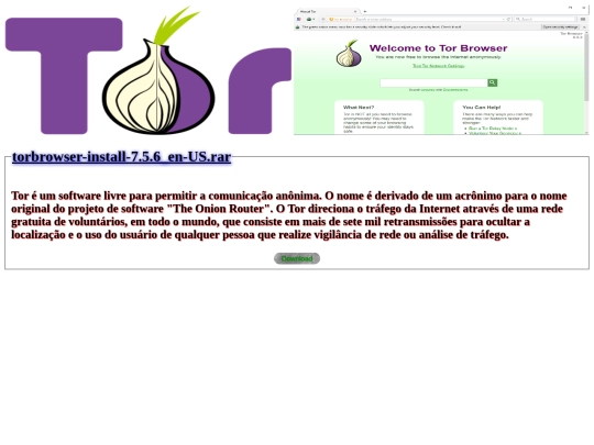 windows/programas/torbrowser screenshot