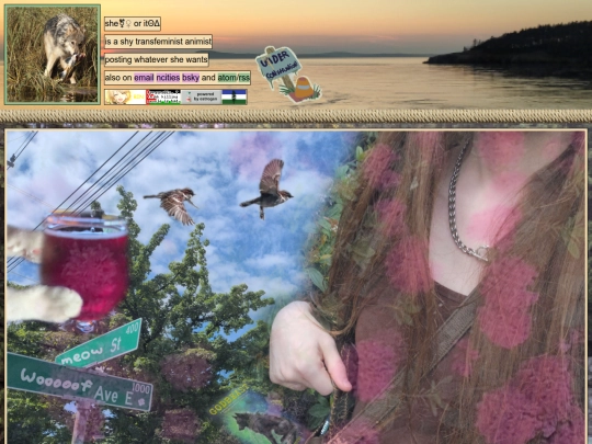 2026/May/10/mothersdaynfur screenshot