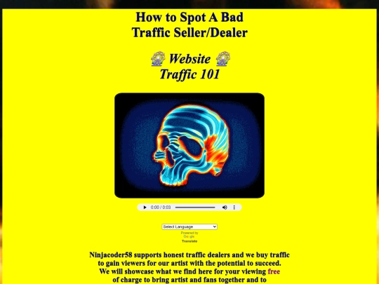 HowtoSpotABadTrafficSeller screenshot