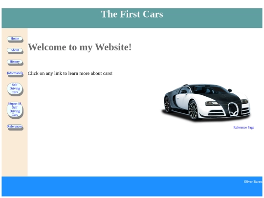 project screenshot
