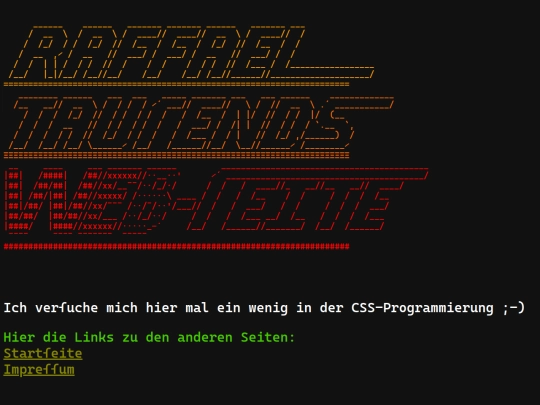 terminal screenshot