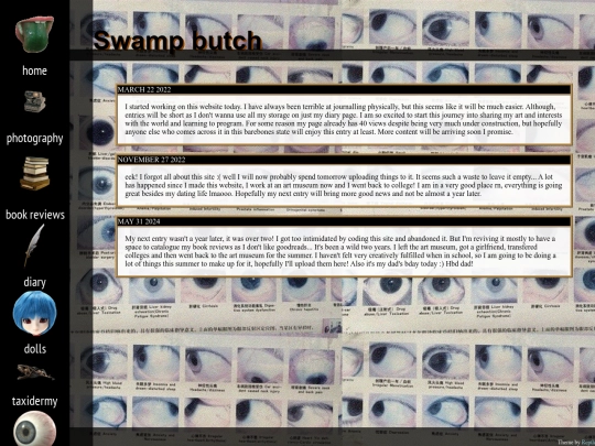 diary screenshot