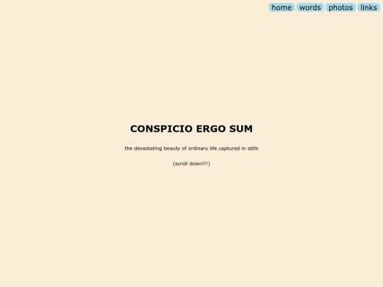 image screenshot