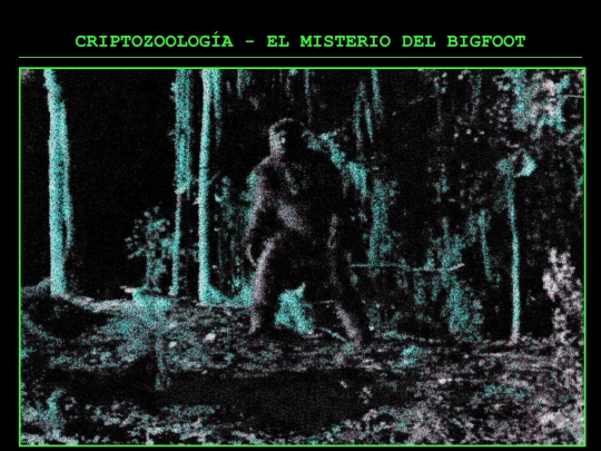 bigfoot screenshot