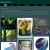 opalsaurolophus avatar