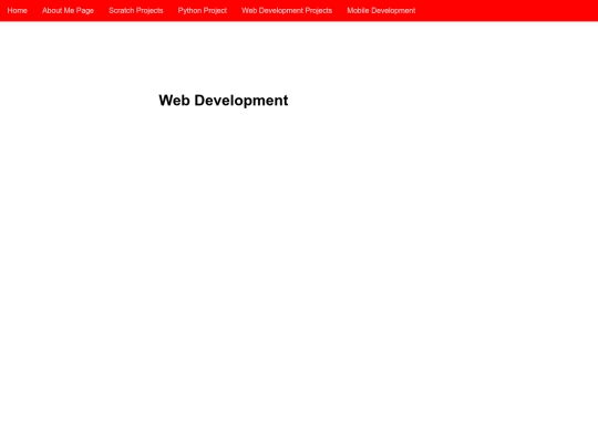 webDev screenshot