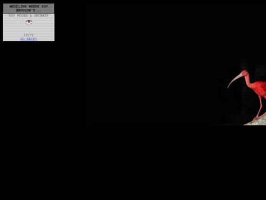 youclickeddidntyou screenshot