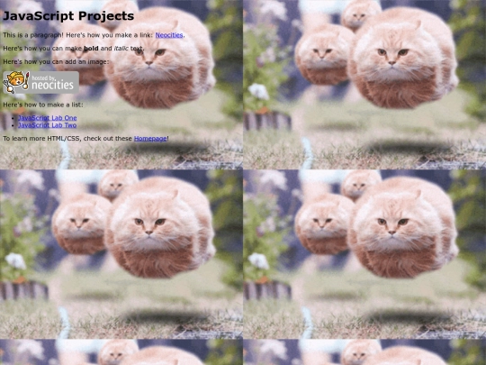 javaScript screenshot