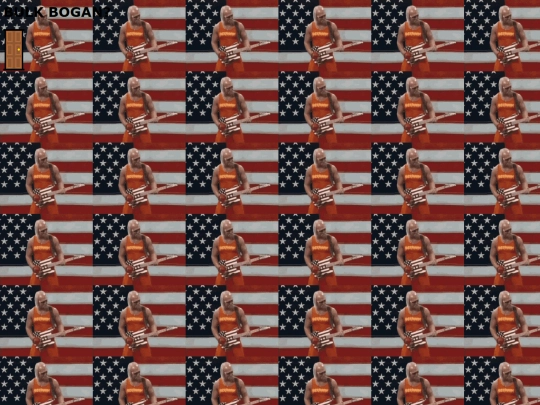 BulkBogan screenshot