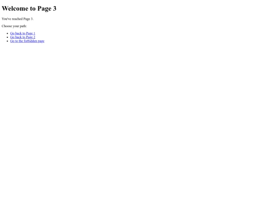 page3 screenshot