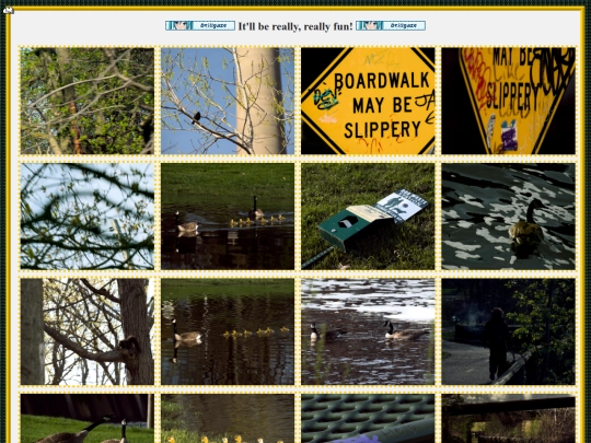20gallery screenshot