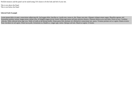 doc/nicEdit/demo05 screenshot