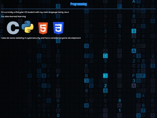 programming screenshot