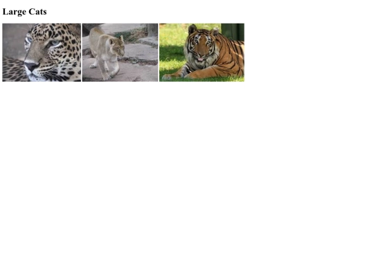 Image Gallery screenshot