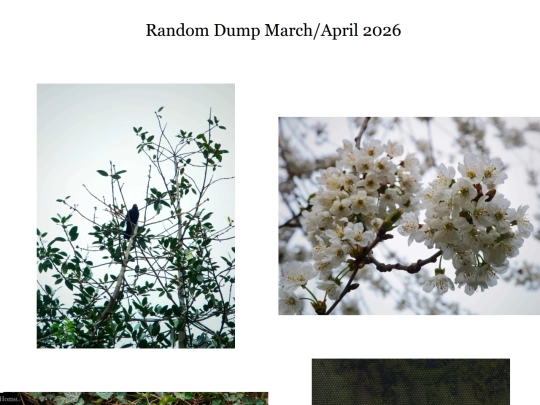 dump2 screenshot