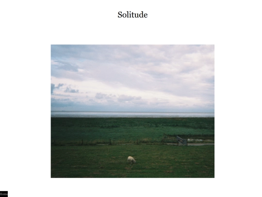 solitude screenshot