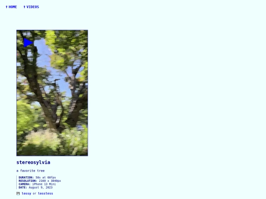 videos/230809-stereosylvia screenshot