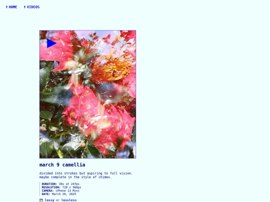 videos/250320-march-9-camellia screenshot
