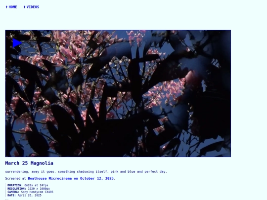 videos/250426-march-25-magnolia screenshot