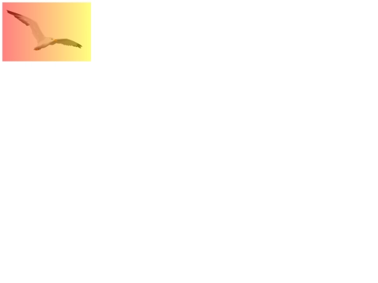 The Imitation Assignment/Seagull screenshot