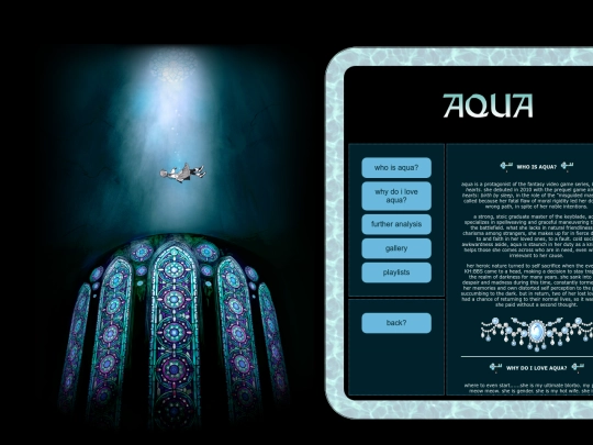 aqua screenshot