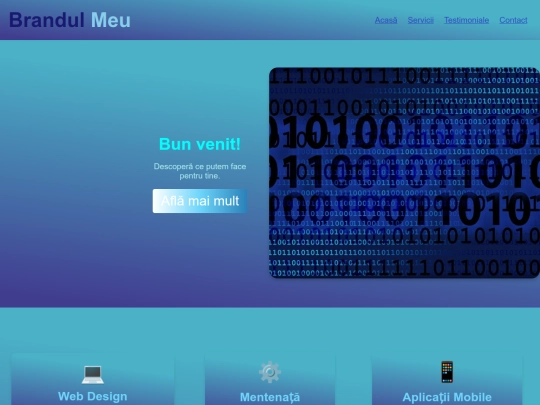 portofoliu/Project1/nr7 screenshot