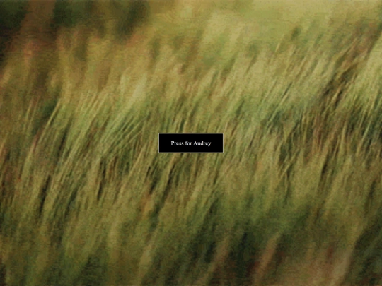 audrey screenshot