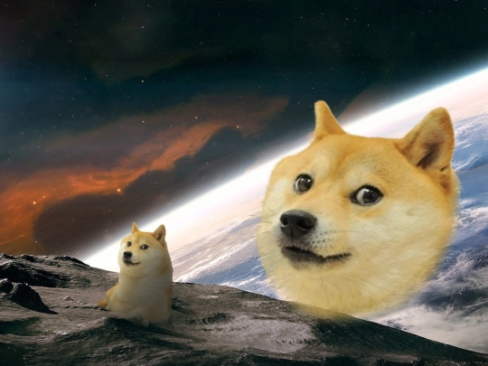doge screenshot