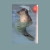 itripley.yorniq.xyz avatar