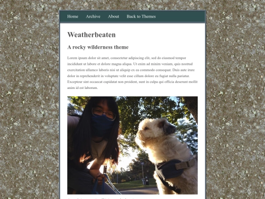 posts/2020-11-09-Weatherbeaten screenshot