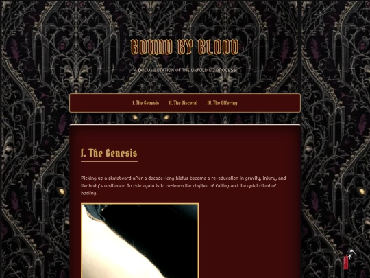 Exercise_Process_Platforms screenshot