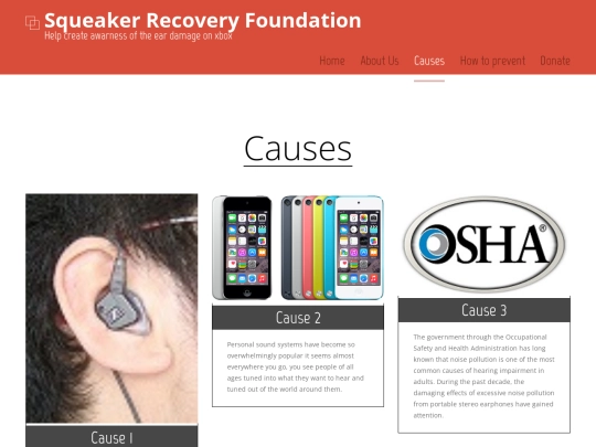 Causes screenshot